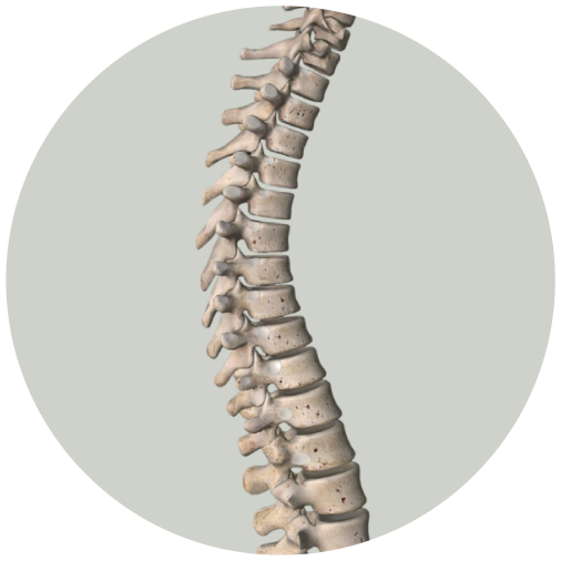 columna